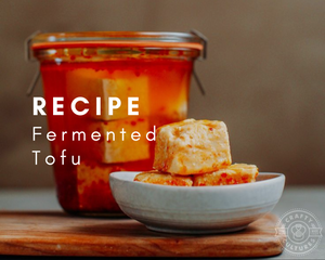 Fermented Tofu