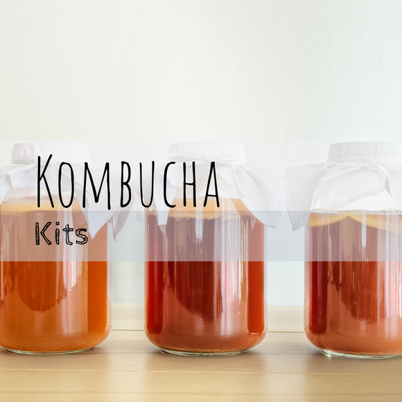 Kombucha Kits