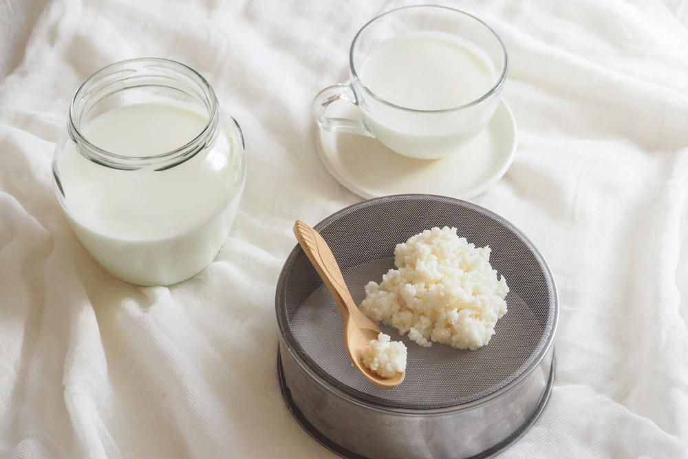 Kefir Cultures