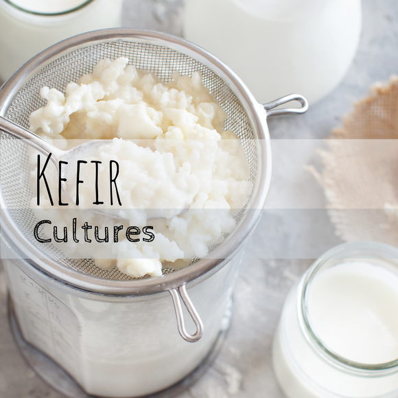 Kefir Cultures