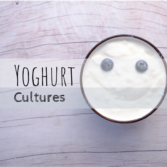 Yoghurt Cultures