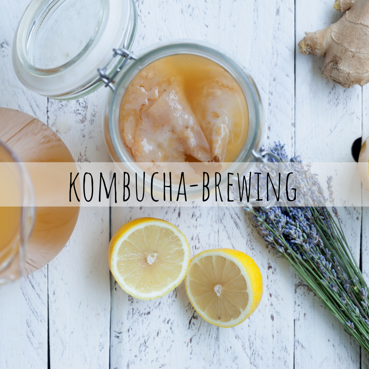Kombucha-brewing