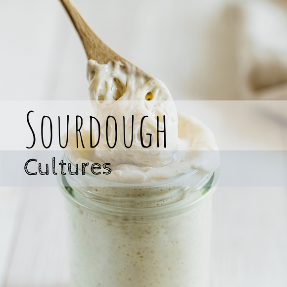 Sourdough Cultures