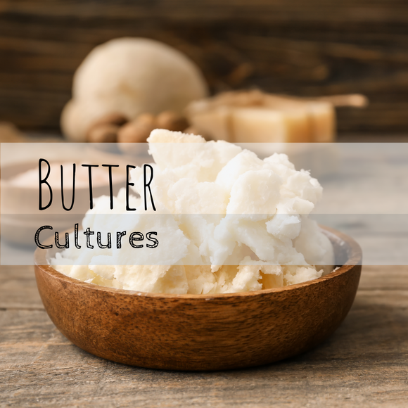 Butter Cultures