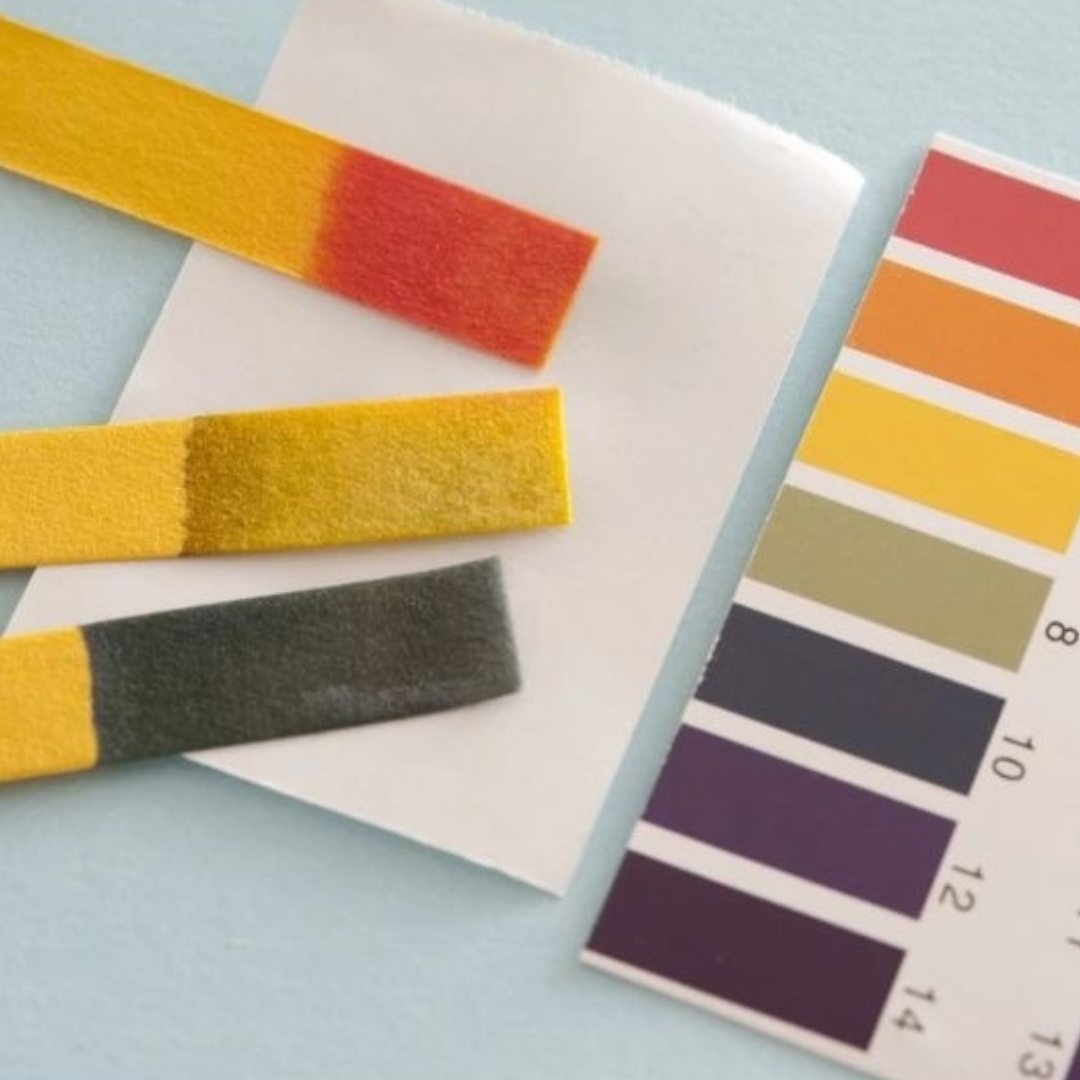 pH Indicator Strips
