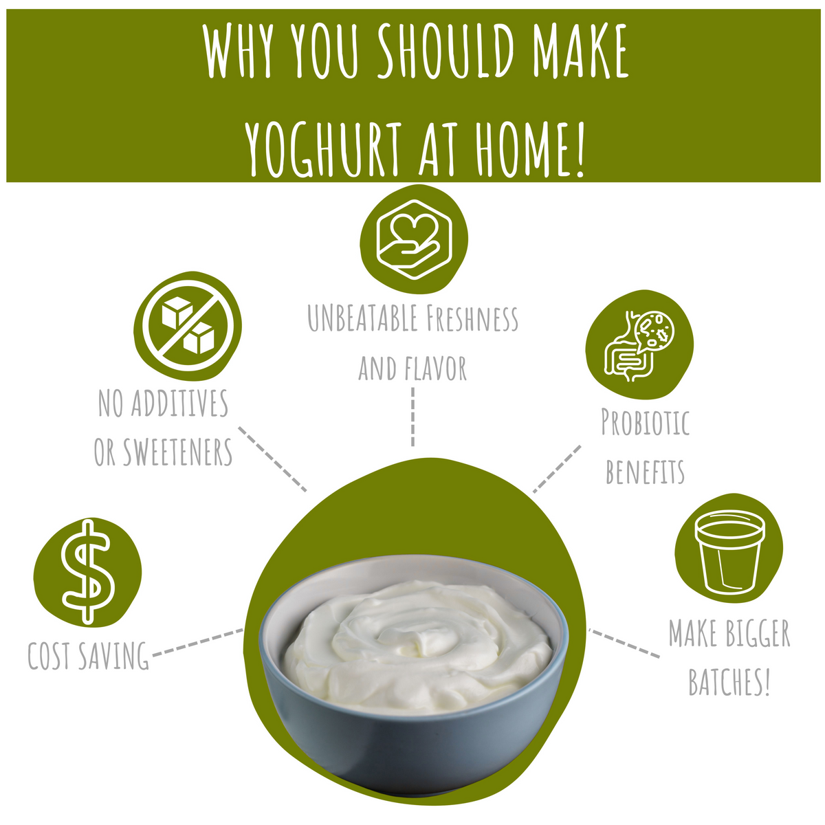 Vegan Yoghurt Starter Kit
