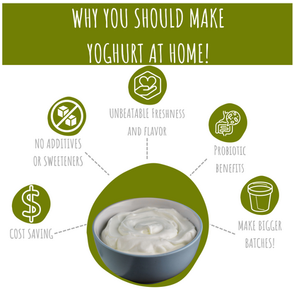 Vegan Yoghurt Starter Kit