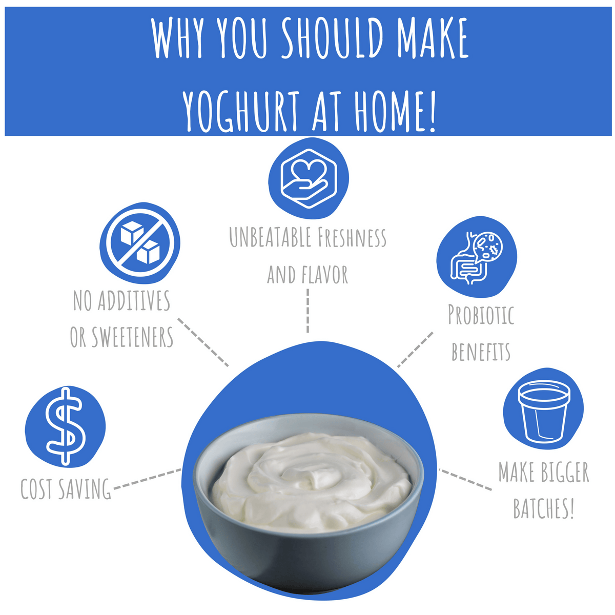 Greek Yoghurt Starter Kit