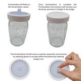 Fermentation Jars (Set of 3)