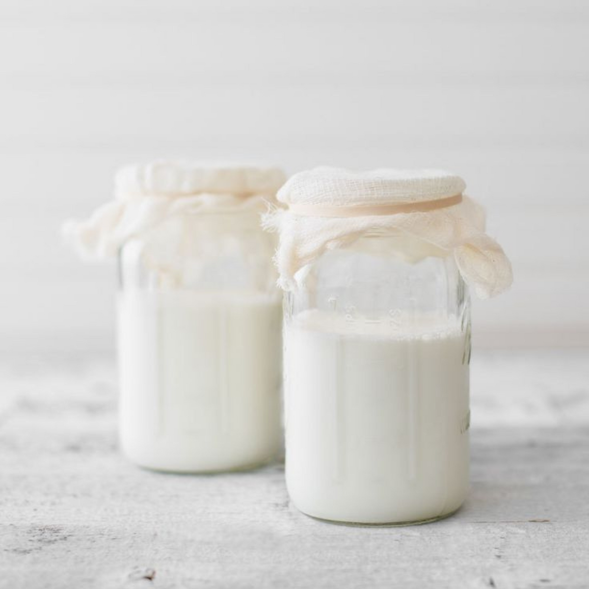 Milk Kefir Kit