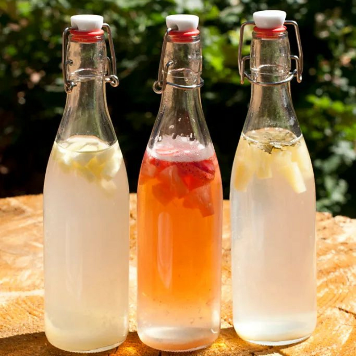 Kombucha Starter Kit