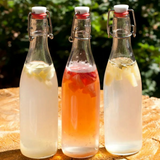 Water Kefir Kit