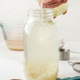 Water Kefir Kit