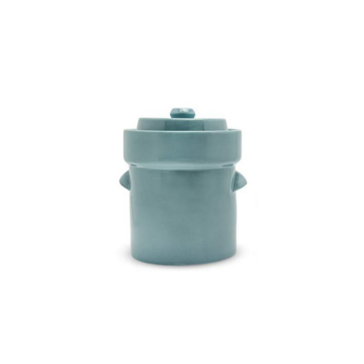 Fermenting Crockpot 3L