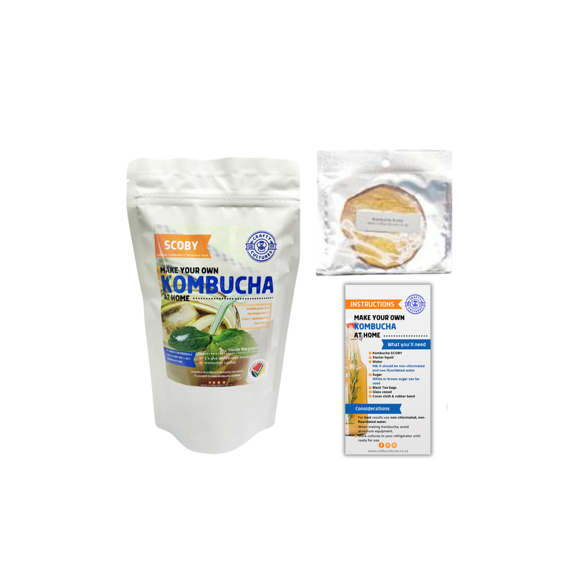 Kombucha SCOBY