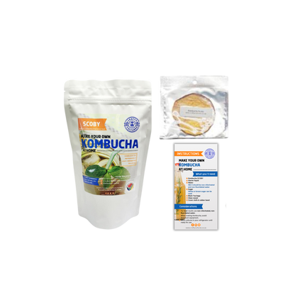 Kombucha SCOBY