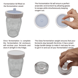 Vegetable Fermentation Kit